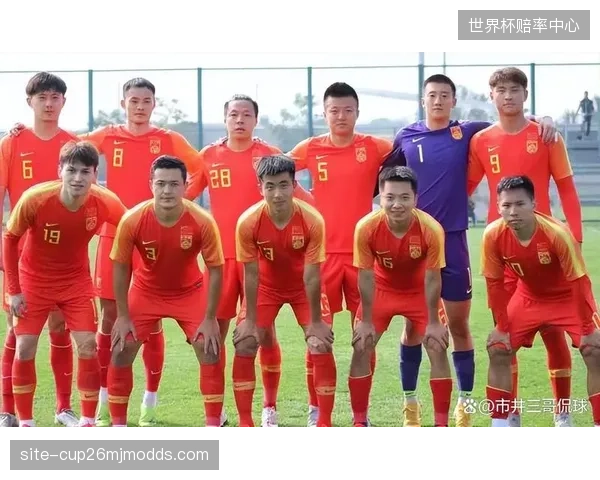 伊拉克队整体阵容结构均衡但上限不足，年轻球员的大赛经验或成晋级道路上的隐患。